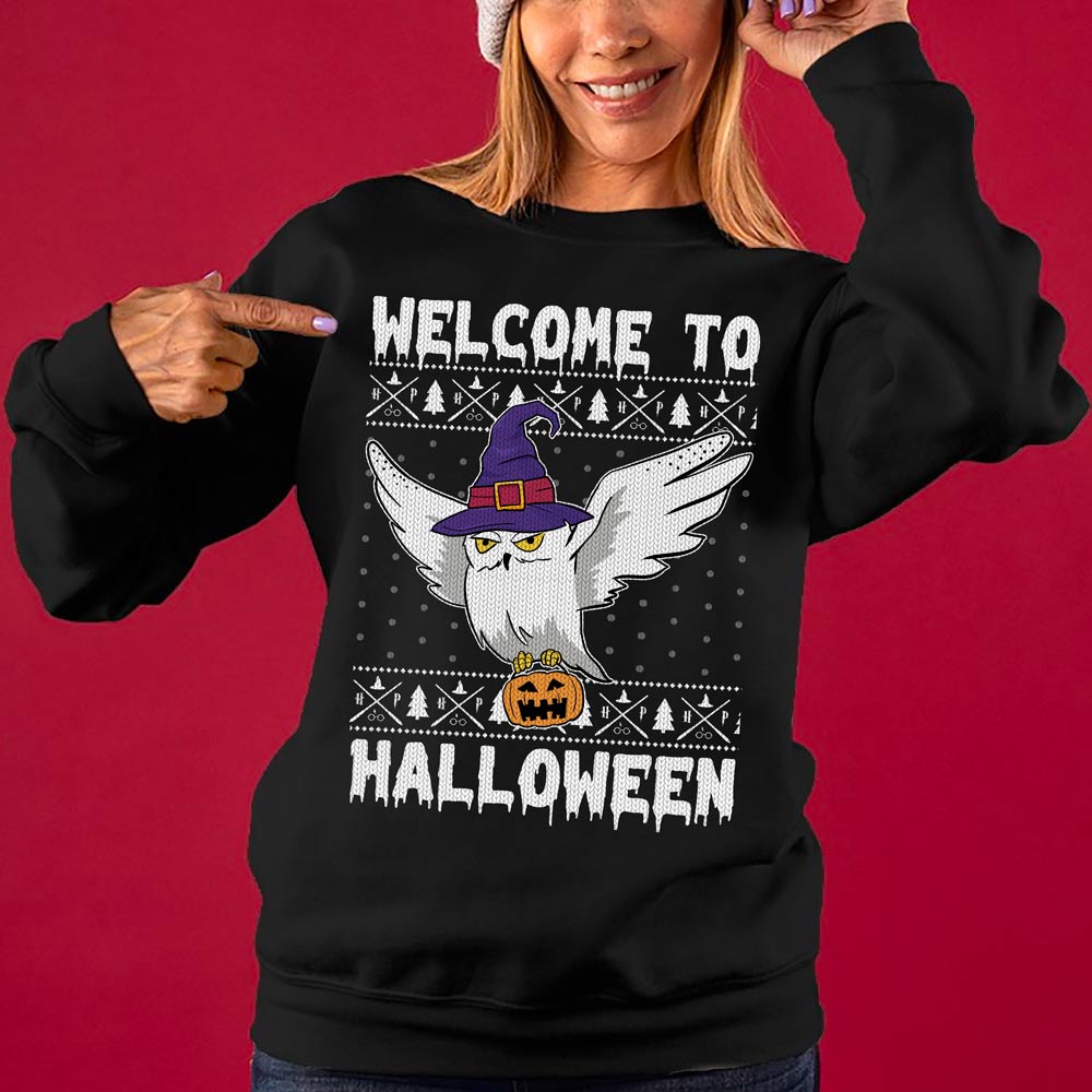 Harry Potter Owl Halloween Sweater Women